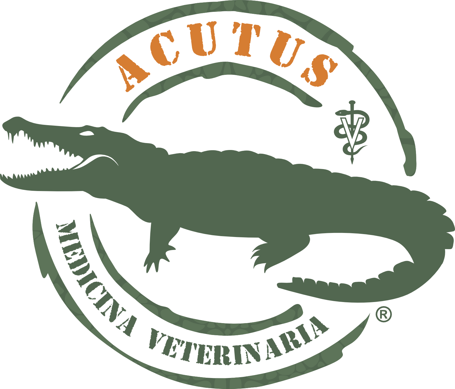 Acutus Logo